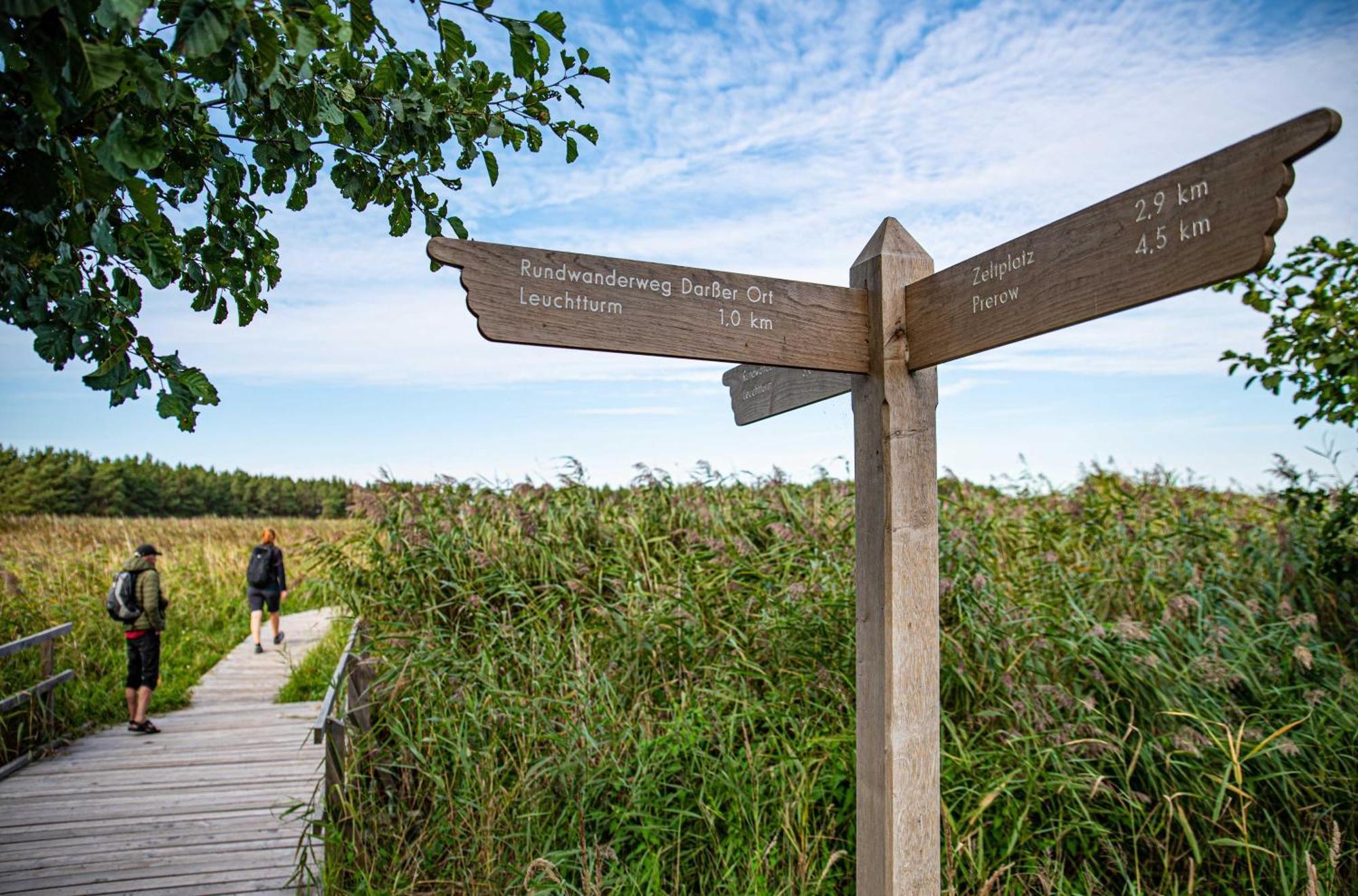 Kranichtanz An Der Seebruecke Zingst Exteriör bild