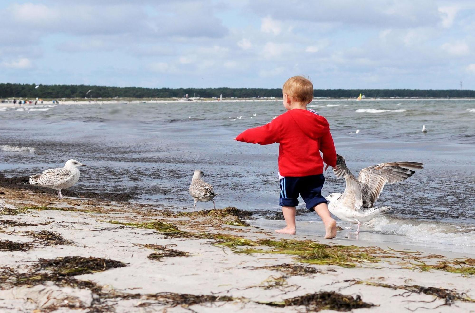 Kranichtanz An Der Seebruecke Zingst Exteriör bild