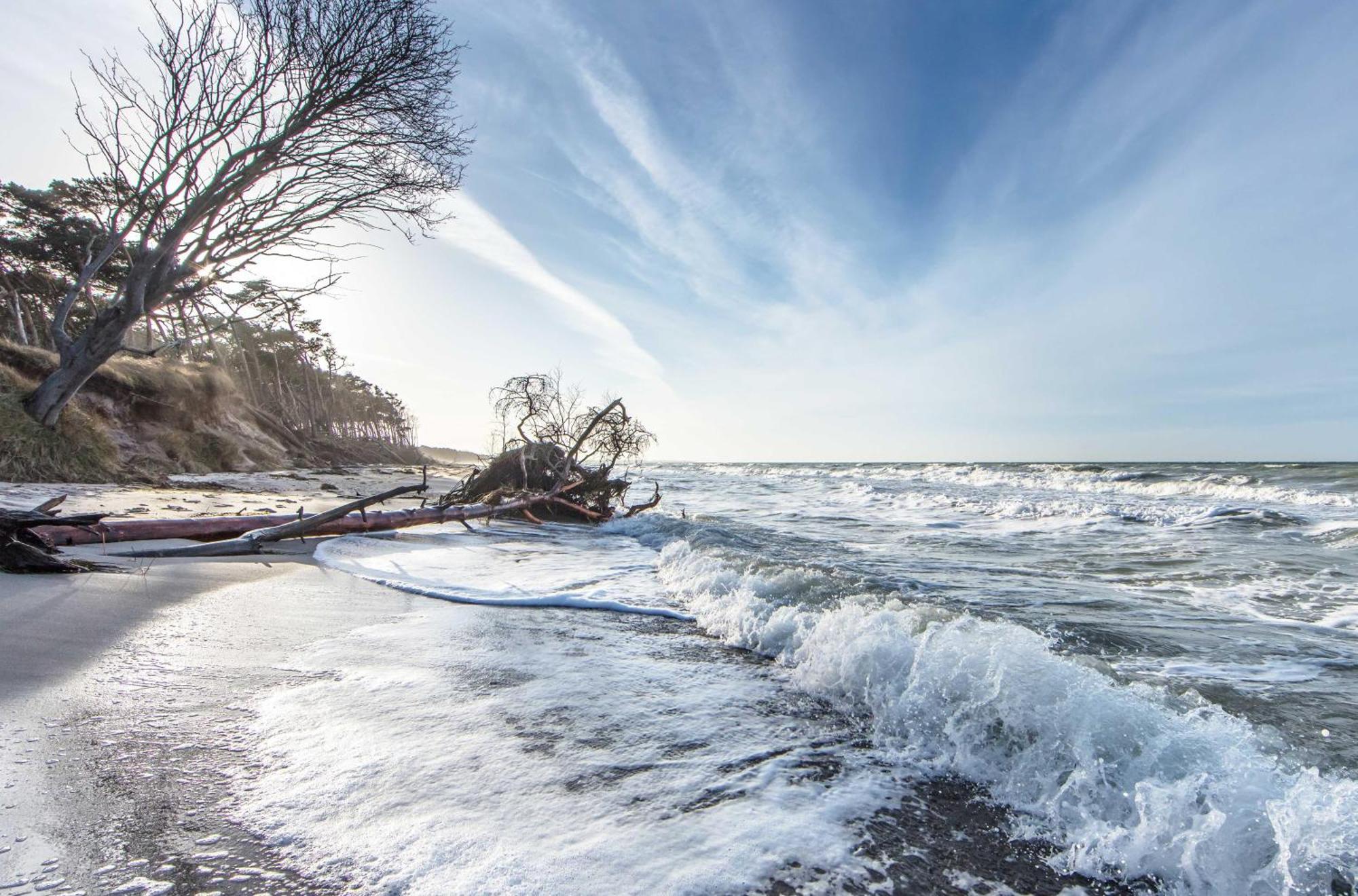 Kranichtanz An Der Seebruecke Zingst Exteriör bild