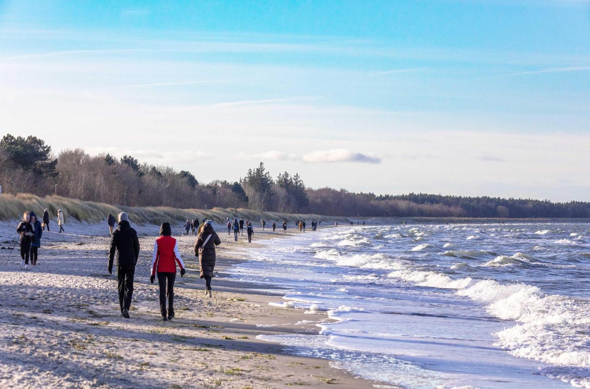 Kranichtanz An Der Seebruecke Zingst Exteriör bild